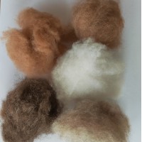 批发销售绵羊绒原料 细致羊绒纺织