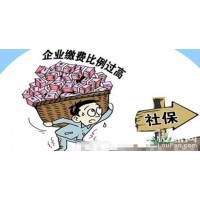 肇庆代缴社保医保，代办肇庆2024社保缴纳，肇庆五险一金外包