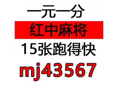 独家分析的24小时一元一分红中麻将群（热点知识）