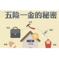 厦门劳务派遣，劳务薪酬外包人事托管厦门社保代理