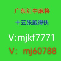 池州正规的  关键词广东红中麻将群跑得快群