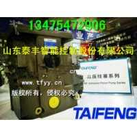 TFA11V系列柱塞泵泰丰厂家生产直销