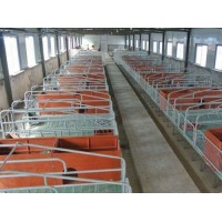 浙江猪用限位栏加工厂家_沧州万晟畜牧设备加工复合板定位栏