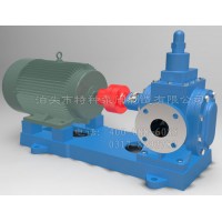 陕西不锈钢泵定制/泊特泵厂价直营YHB型齿轮泵