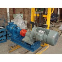 贵州沥青泵生产厂家-泊禹泵业-厂家定制NYP内环式高粘度泵