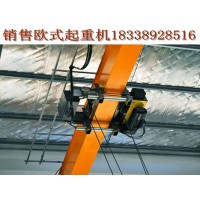 湖北襄樊欧式起重机厂家生产欧式双梁起重机