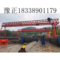 广东惠州10吨龙门吊型号规格