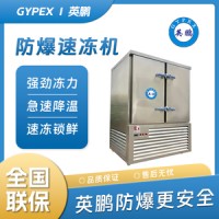 GYPEX·速冻机·专业制冷设备制造厂家·英鹏出品