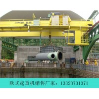 湖南株洲欧式起重机厂家 LD型10吨20T行吊