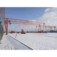 山东泰安龙门吊公司 140吨龙门吊金属结构