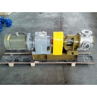 四川高粘度齿轮泵生产~来福齿轮泵订做NYP10不锈钢