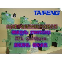 泰丰负载敏感泵TFB1V80YS/1X-LRB2K 右旋平键轴通轴可串泵