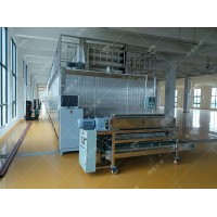 自动化丽星粉条生产机器 粉丝加工设备适合用来建规模化粉条厂