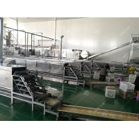 绿豆粉皮机全年可生产运行 丽星机械五谷面加工设备运行过程平稳