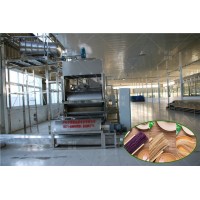 水晶粉丝生产线厂家丽星机械，红薯粉条机不产生开粉废水的排放