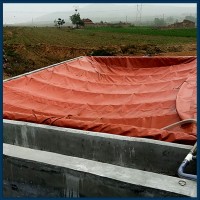 养殖户厌氧气体收集装置 红泥塑料沼气袋