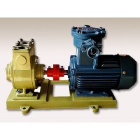 泰盛泵阀液化气叶片泵 安装维修简单方便